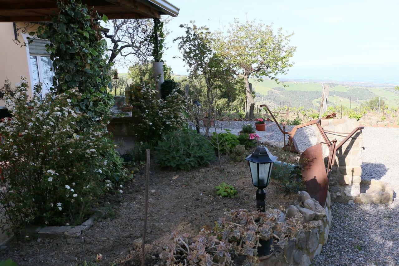 B&B Il Vigneto Trebisacce Exterior photo