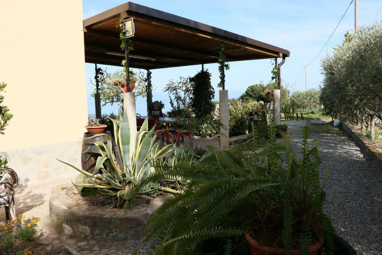 B&B Il Vigneto Trebisacce Exterior photo